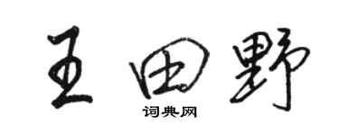 駱恆光王田野行書個性簽名怎么寫