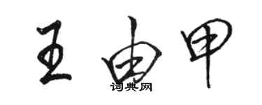 駱恆光王由甲行書個性簽名怎么寫