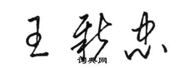 駱恆光王新忠草書個性簽名怎么寫