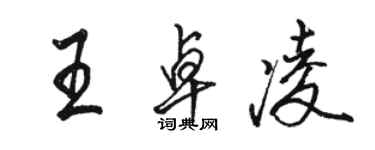 駱恆光王卓凌行書個性簽名怎么寫