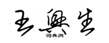 朱錫榮王興生草書個性簽名怎么寫