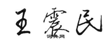 駱恆光王震民行書個性簽名怎么寫