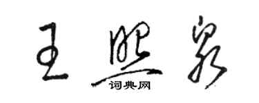 駱恆光王照泉草書個性簽名怎么寫