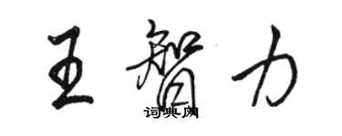 駱恆光王智力行書個性簽名怎么寫