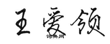 駱恆光王愛領行書個性簽名怎么寫