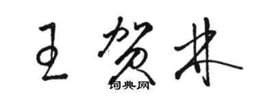 駱恆光王賀林草書個性簽名怎么寫