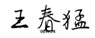 曾慶福王春猛行書個性簽名怎么寫