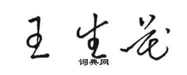 駱恆光王生花草書個性簽名怎么寫