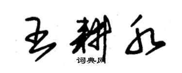 朱錫榮王耕水草書個性簽名怎么寫