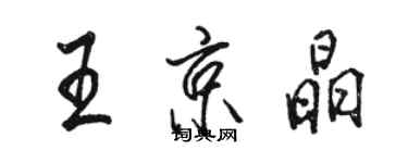 駱恆光王京晶行書個性簽名怎么寫