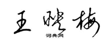 梁錦英王映梅草書個性簽名怎么寫