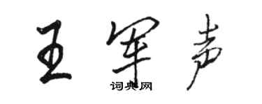 駱恆光王軍聲行書個性簽名怎么寫