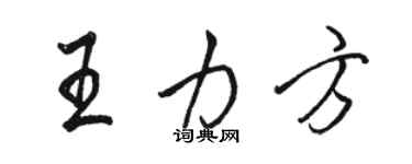 駱恆光王力方行書個性簽名怎么寫