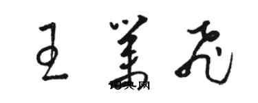 駱恆光王業飛草書個性簽名怎么寫