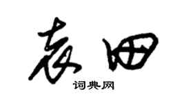朱錫榮袁田草書個性簽名怎么寫