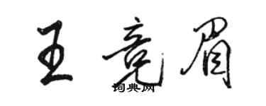 駱恆光王競眉行書個性簽名怎么寫
