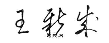 駱恆光王新成草書個性簽名怎么寫