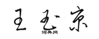 駱恆光王玉京草書個性簽名怎么寫