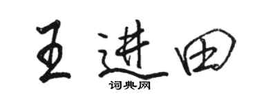 駱恆光王進田行書個性簽名怎么寫