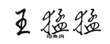 駱恆光王猛猛行書個性簽名怎么寫