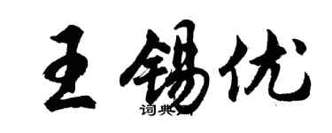 胡問遂王錫優行書個性簽名怎么寫