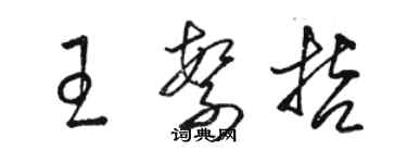 駱恆光王繁哲草書個性簽名怎么寫