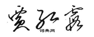 駱恆光賈紅霞草書個性簽名怎么寫