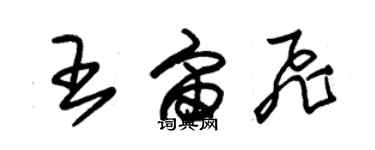 朱錫榮王宙飛草書個性簽名怎么寫