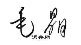 駱恆光毛晶草書個性簽名怎么寫