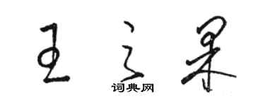 駱恆光王之果草書個性簽名怎么寫