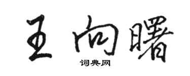 駱恆光王向曙行書個性簽名怎么寫