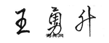 駱恆光王勇升行書個性簽名怎么寫