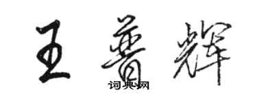 駱恆光王普輝行書個性簽名怎么寫