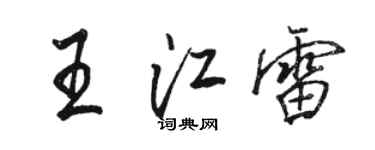 駱恆光王江雷行書個性簽名怎么寫
