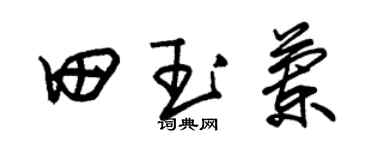 朱錫榮田玉蘭草書個性簽名怎么寫
