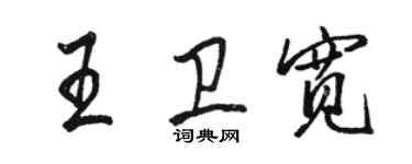 駱恆光王衛寬行書個性簽名怎么寫