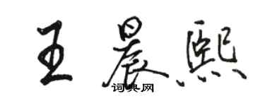 駱恆光王晨熙行書個性簽名怎么寫