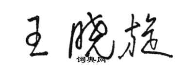 駱恆光王曉旋草書個性簽名怎么寫