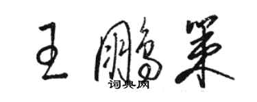 駱恆光王鵬策草書個性簽名怎么寫