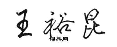 駱恆光王裕昆行書個性簽名怎么寫