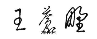 駱恆光王蒼野草書個性簽名怎么寫