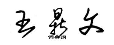 朱錫榮王鼎文草書個性簽名怎么寫