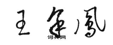 駱恆光王余鳳草書個性簽名怎么寫