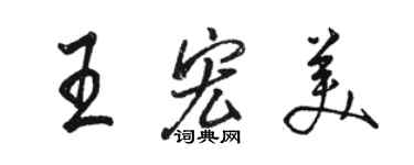 駱恆光王宏美行書個性簽名怎么寫