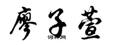 胡問遂廖子萱行書個性簽名怎么寫