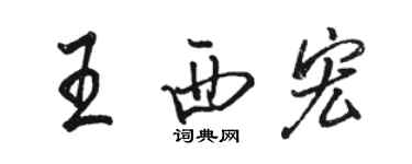 駱恆光王西宏行書個性簽名怎么寫