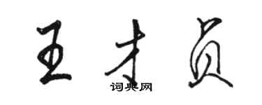 駱恆光王才貞行書個性簽名怎么寫