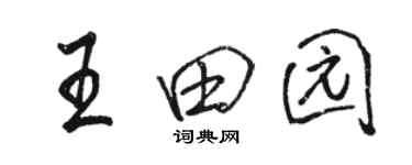 駱恆光王田園行書個性簽名怎么寫