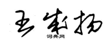 朱錫榮王成揚草書個性簽名怎么寫