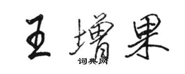 駱恆光王增果行書個性簽名怎么寫